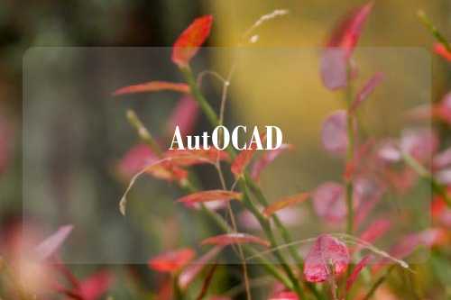 AutOCAD