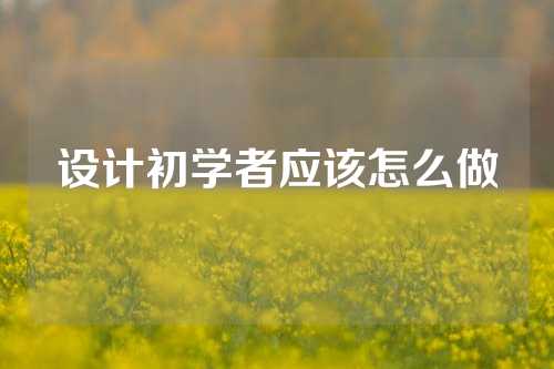 设计初学者应该怎么做