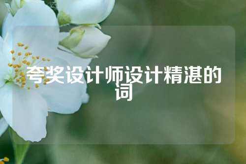 夸奖设计师设计精湛的词