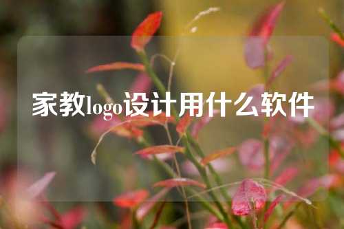 家教logo设计用什么软件