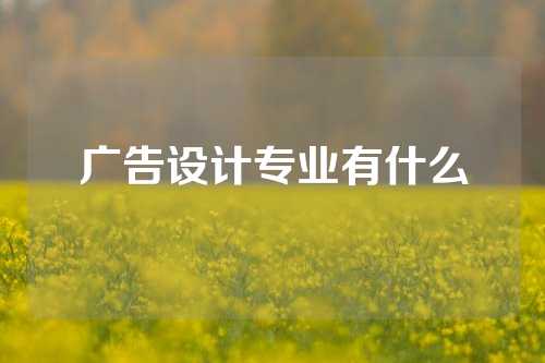 广告设计专业有什么