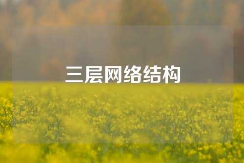 三层网络结构