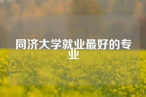 同济大学就业最好的专业