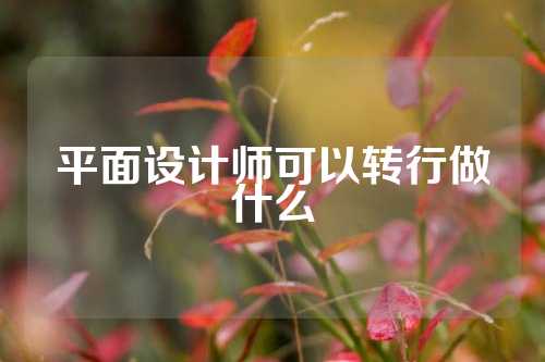 平面设计师可以转行做什么