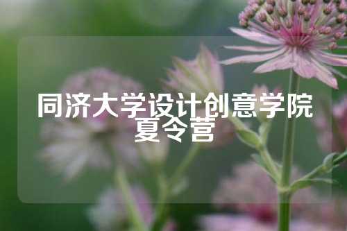 同济大学设计创意学院夏令营