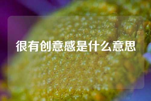 很有创意感是什么意思