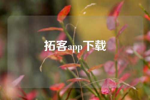 拓客app下载