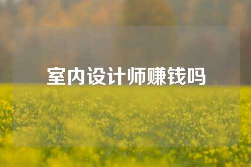室内设计师赚钱吗