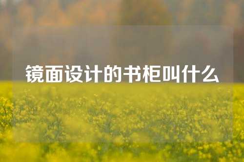 镜面设计的书柜叫什么