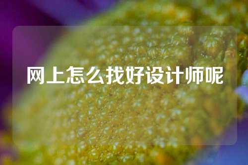 网上怎么找好设计师呢