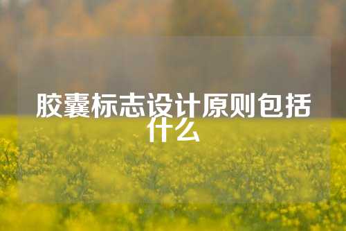 胶囊标志设计原则包括什么