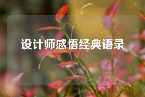 设计师感悟经典语录