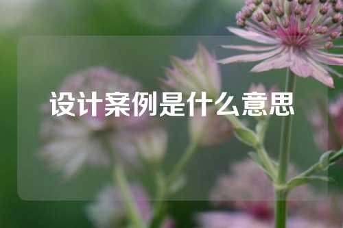 设计案例是什么意思
