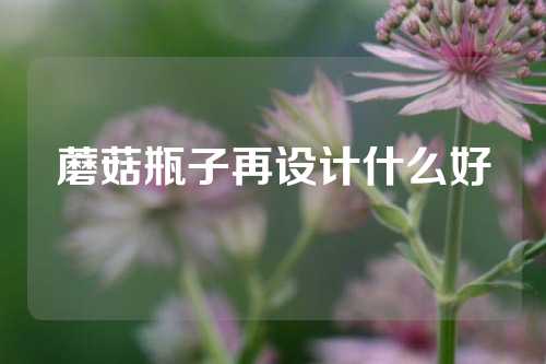 蘑菇瓶子再设计什么好