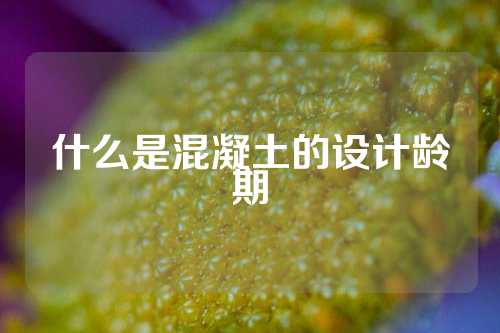 什么是混凝土的设计龄期