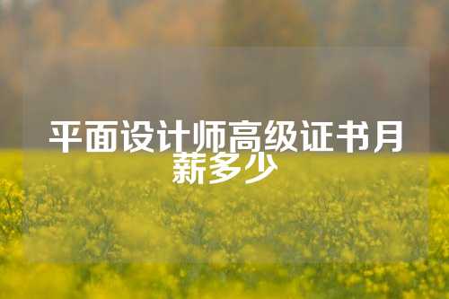 平面设计师高级证书月薪多少