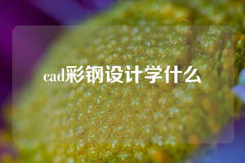 cad彩钢设计学什么