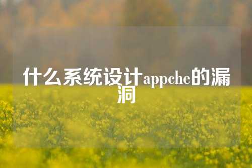 什么系统设计appche的漏洞