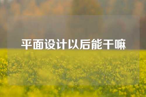 平面设计以后能干嘛