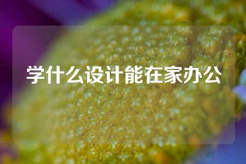 学什么设计能在家办公