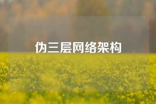 伪三层网络架构