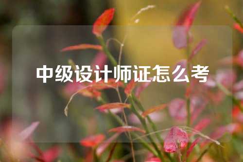 中级设计师证怎么考