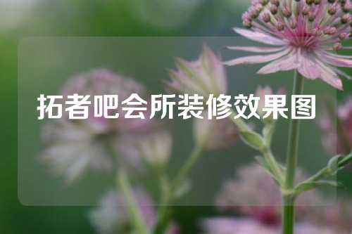 拓者吧会所装修效果图