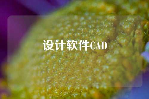 设计软件CAD