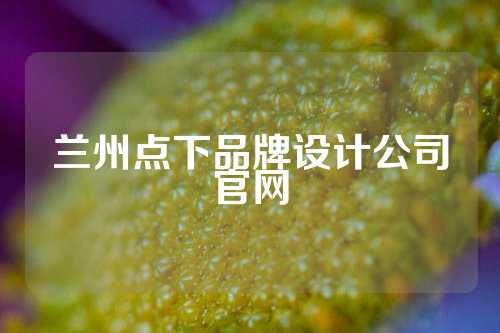 兰州点下品牌设计公司官网