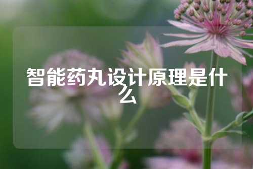 智能药丸设计原理是什么