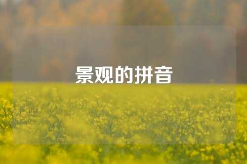 景观的拼音