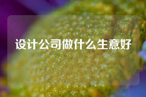 设计公司做什么生意好