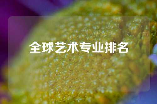 全球艺术专业排名