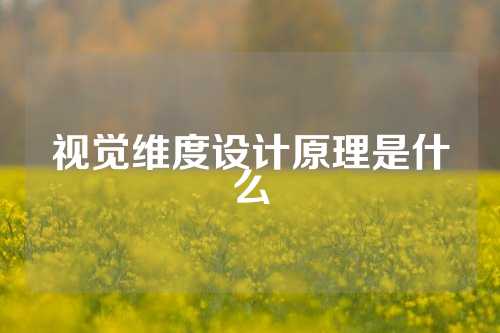 视觉维度设计原理是什么