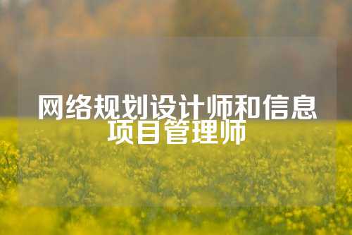 网络规划设计师和信息项目管理师