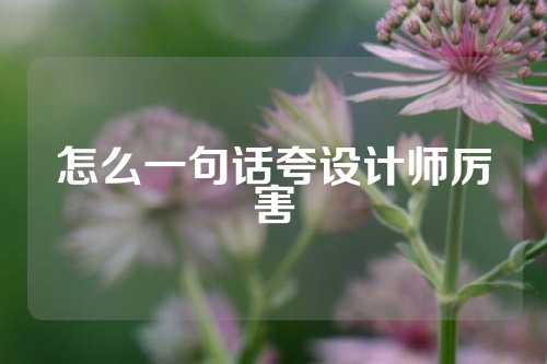 怎么一句话夸设计师厉害