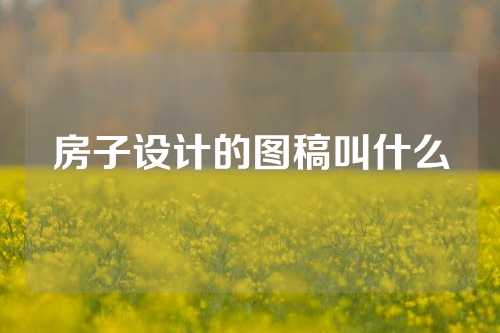 房子设计的图稿叫什么