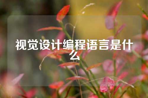 视觉设计编程语言是什么