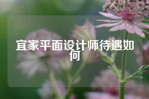 宜家平面设计师待遇如何