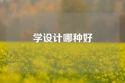 学设计哪种好