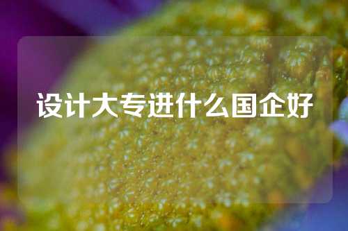 设计大专进什么国企好