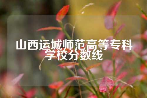 山西运城师范高等专科学校分数线