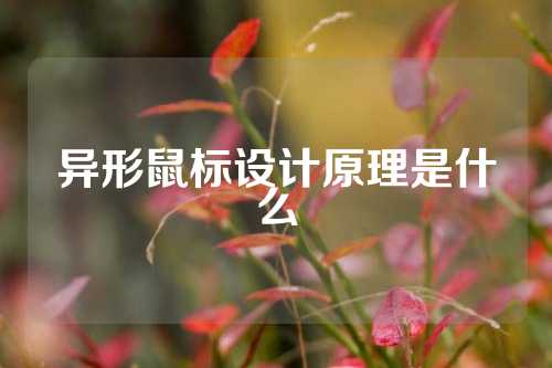 异形鼠标设计原理是什么