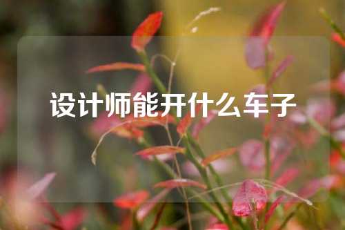 设计师能开什么车子