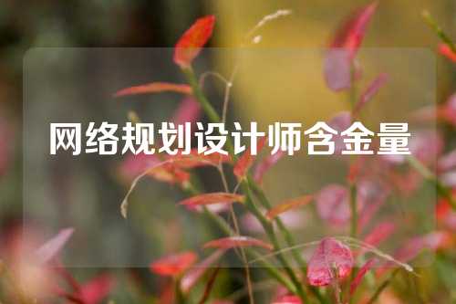 网络规划设计师含金量