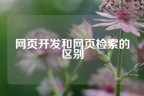 网页开发和网页检索的区别