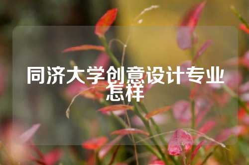 同济大学创意设计专业怎样