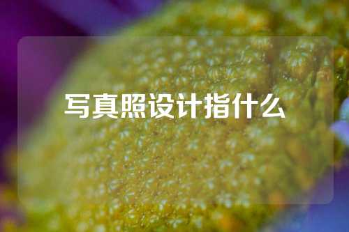 写真照设计指什么