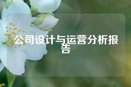 公司设计与运营分析报告