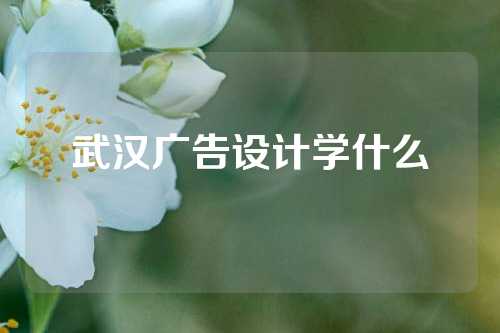 武汉广告设计学什么